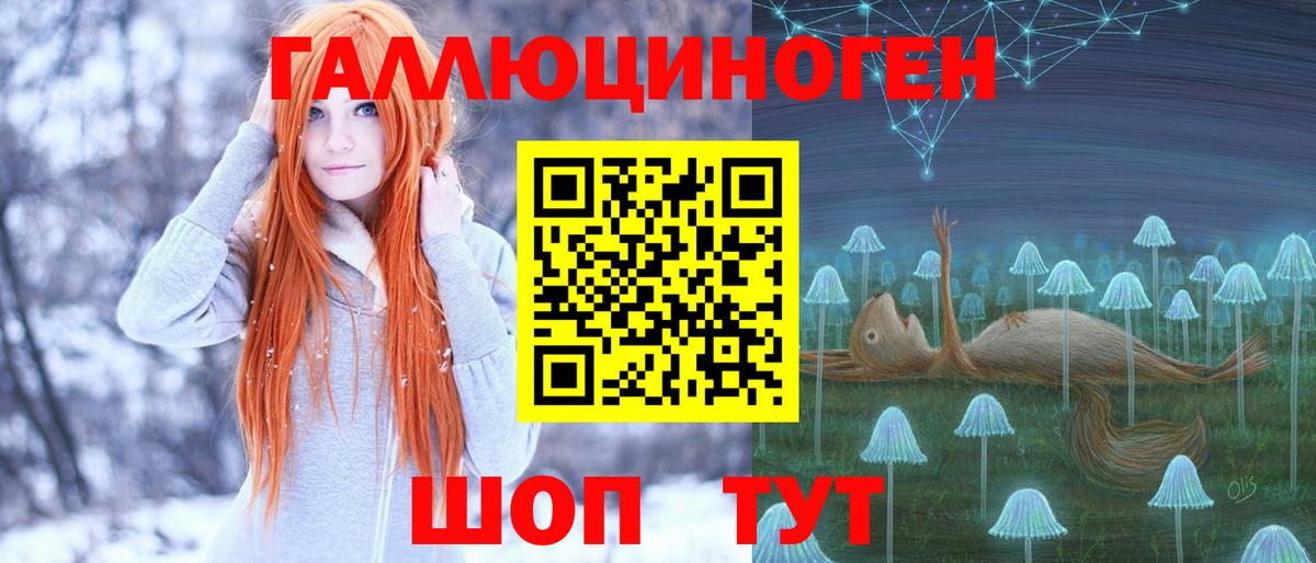 Псилоцибиновые грибы мицелий  Галлюциногенные грибы мицелий  где продают   Черногорск  Вход с VPN 
